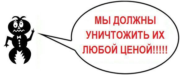 ^02293363197C301677EA3D2FC7075A7C6FCE3586D0007E21A2^pimgpsh_fullsize_distr